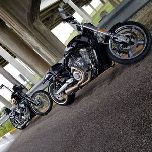 Meet your Posher, Franky